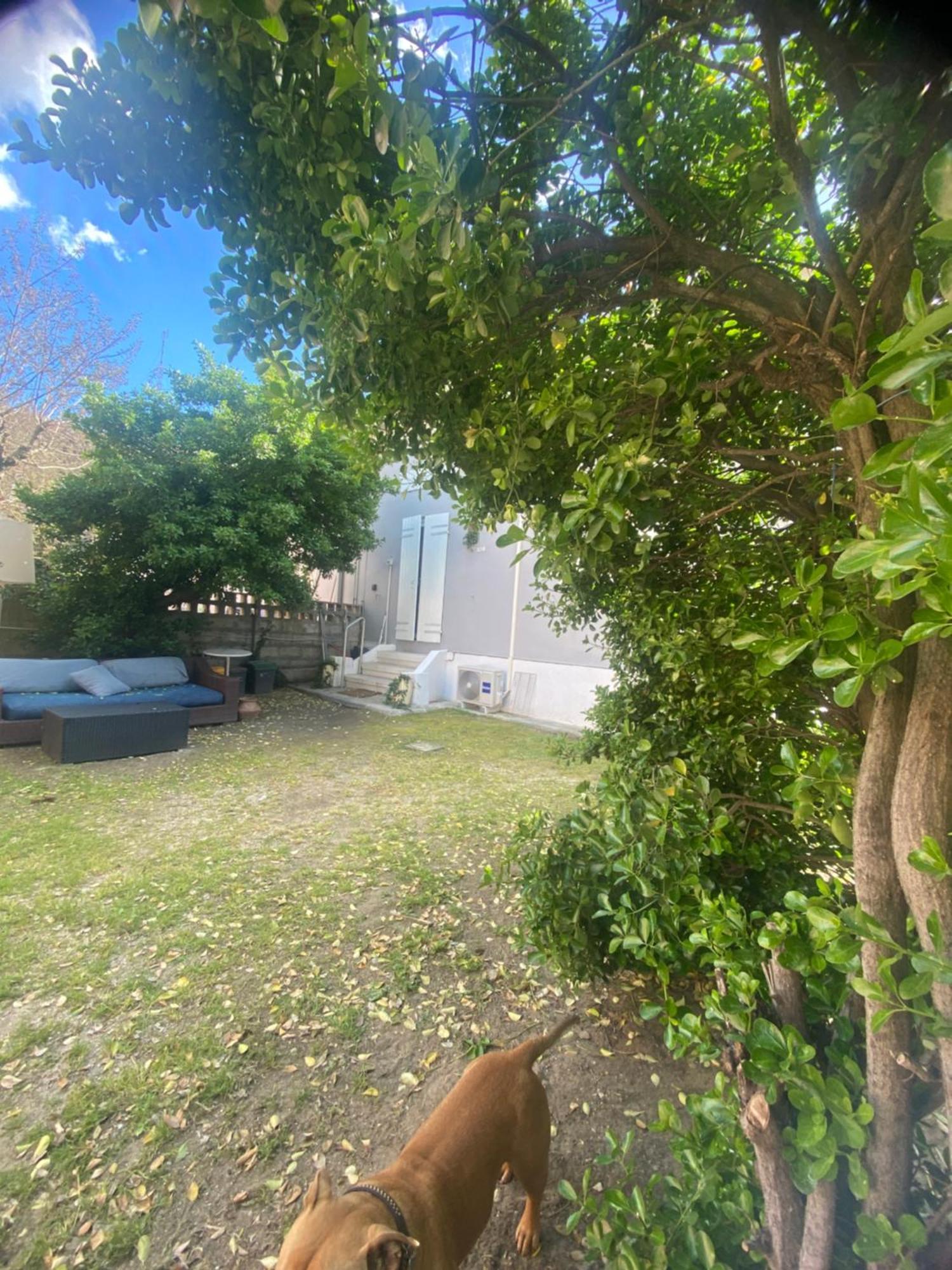 Casa Elisa 10 B Holiday home Bellaria-Igea Marina